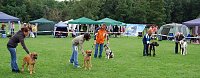 Bild: Doggen auf dem Possen