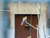 Bild: Auf dem Possen