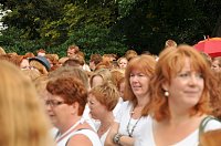 Bild: Redhairday in Breda NL 2011