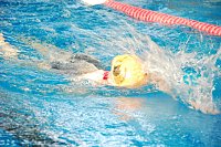 Bild: Stadtmeisterschaften im Schwimmen