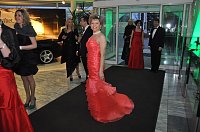 Bild: Fr&uuml;hlingsball 2012