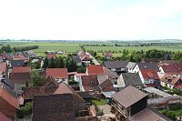 Bild: Jungst&ouml;rche werden beringt
