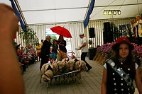 Bild: Bauernmarkt