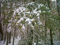 Bild: Herbst und Winter