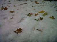 Bild: Herbst und Winter