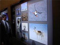 Bild: Photokina K&ouml;ln 2008