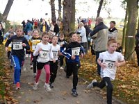 Bild: 15. Stadtparklauf Sondershausen