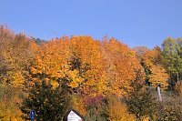 Bild: Herbstfarben am Panoramaweg bei Blankenburg