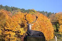 Bild: Herbstfarben am Panoramaweg bei Blankenburg