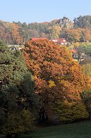 Bild: Herbstfarben am Panoramaweg bei Blankenburg