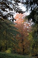 Bild: Herbstfarben am Panoramaweg bei Blankenburg