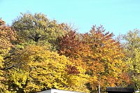 Bild: Herbstfarben am Panoramaweg bei Blankenburg