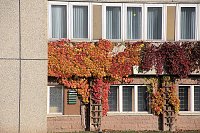 Bild: Herbstfarben am Panoramaweg bei Blankenburg