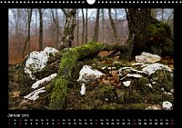 Bild: Am Karstwanderweg im S&uuml;dharz