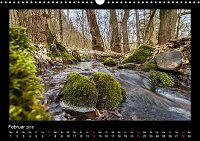 Bild: Am Karstwanderweg im S&uuml;dharz