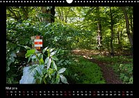Bild: Am Karstwanderweg im S&uuml;dharz