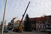 Bild: J&ouml;rg Winzerling und Ren&eacute; Freist leisten Pr&auml;zisionsarbeit. Hier "f&auml;deln" sie das gute St&uuml;ck ein. Anschlie&szlig;end wird es noch rundum verkeilt.