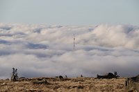 Bild: Brocken am 30. Dezember 2015