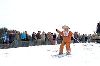 Bild: Skifasching in Tanne