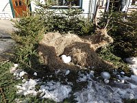 Bild: Winterm&auml;rchen in Elbingerode