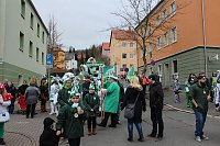 Bild: N&auml;rrinnen und Narren trotzen Wetter (1)