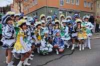 Bild: N&auml;rrinnen und Narren trotzen Wetter (1)