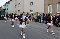 Bild: N&auml;rrinnen und Narren trotzen Wetter (1)