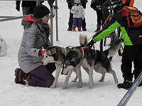 Bild: Schlittenhunderennen 2016 in Benneckenstein