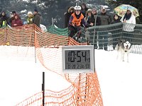 Bild: Schlittenhunderennen 2016 in Benneckenstein
