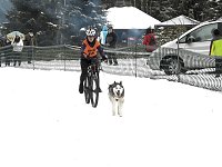 Bild: Schlittenhunderennen 2016 in Benneckenstein