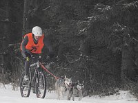 Bild: Schlittenhunderennen 2016 in Benneckenstein