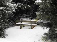 Bild: Schlittenhunderennen 2016 in Benneckenstein