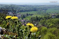 Bild: Unterwegs im Naturpark S&uuml;dharz