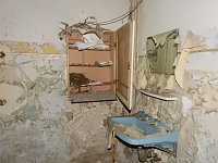 Bild: Villa im Harz