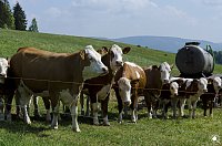 Bild: Wanderung im Morgengrauen