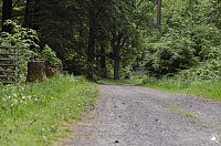 Bild: Wandergr&uuml;&szlig;e aus Rothes&uuml;tte