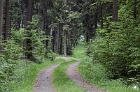 Bild: Wandergr&uuml;&szlig;e aus Rothes&uuml;tte