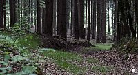 Bild: Wandergr&uuml;&szlig;e aus Rothes&uuml;tte