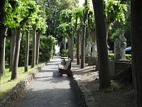 Bild: Die Rosenburg