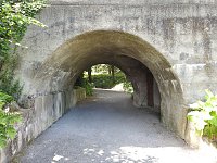 Bild: Die Rosenburg