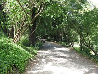 Bild: Die Rosenburg