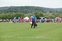1:0 gegen den HFC Bild: 1:0 gegen den HFC