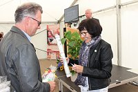 Bild: Mit Festakt schiefer Turm als gerettet gefeiert