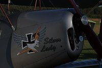Bild: Katastrophe bei Flugshow
