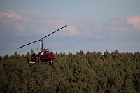 Bild: Katastrophe bei Flugshow
