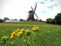 Bild: Unterwegs auf Ameland: M&uuml;hle Nes