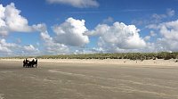 Bild: Unterwegs auf Ameland