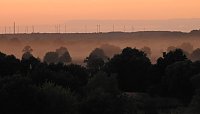 Bild: Spinnen im Mondschein am Goitzsche See