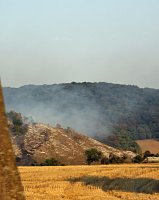 Bild: Schwerer Waldbrand am Kyffh&auml;user