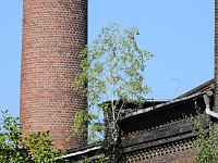 Bild: Malzfabrik K&ouml;then